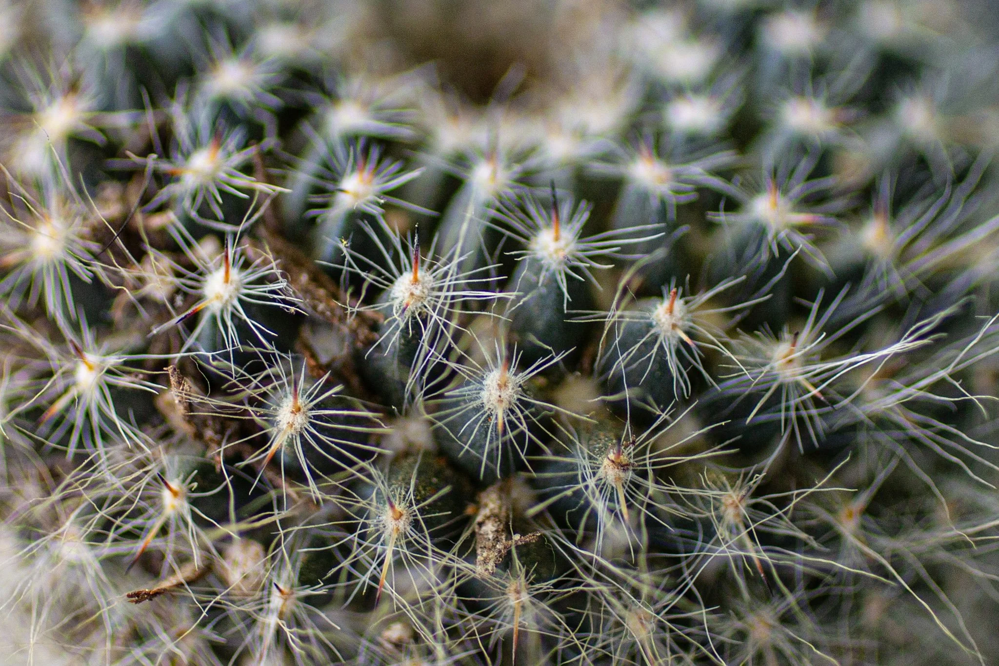 Close-up detail shot showing product texture and materials