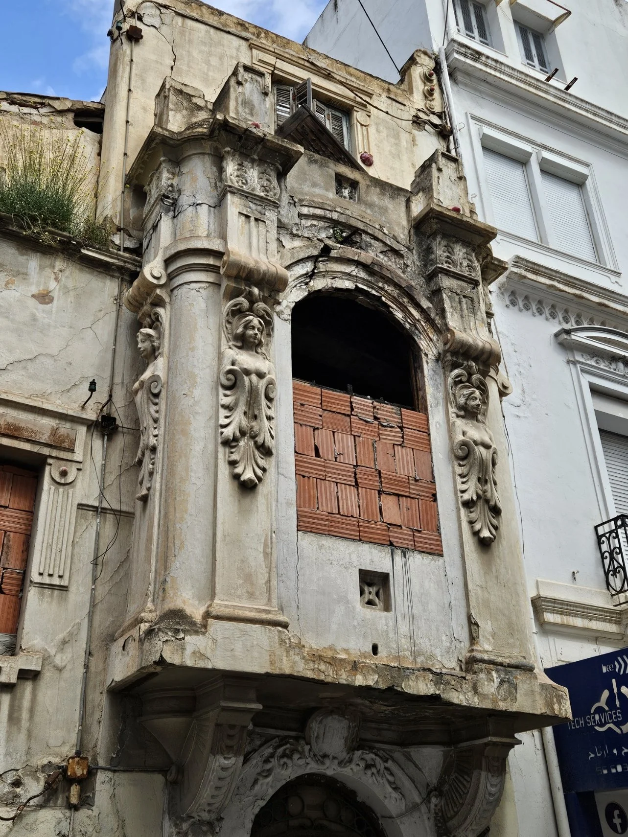 Tunis Window