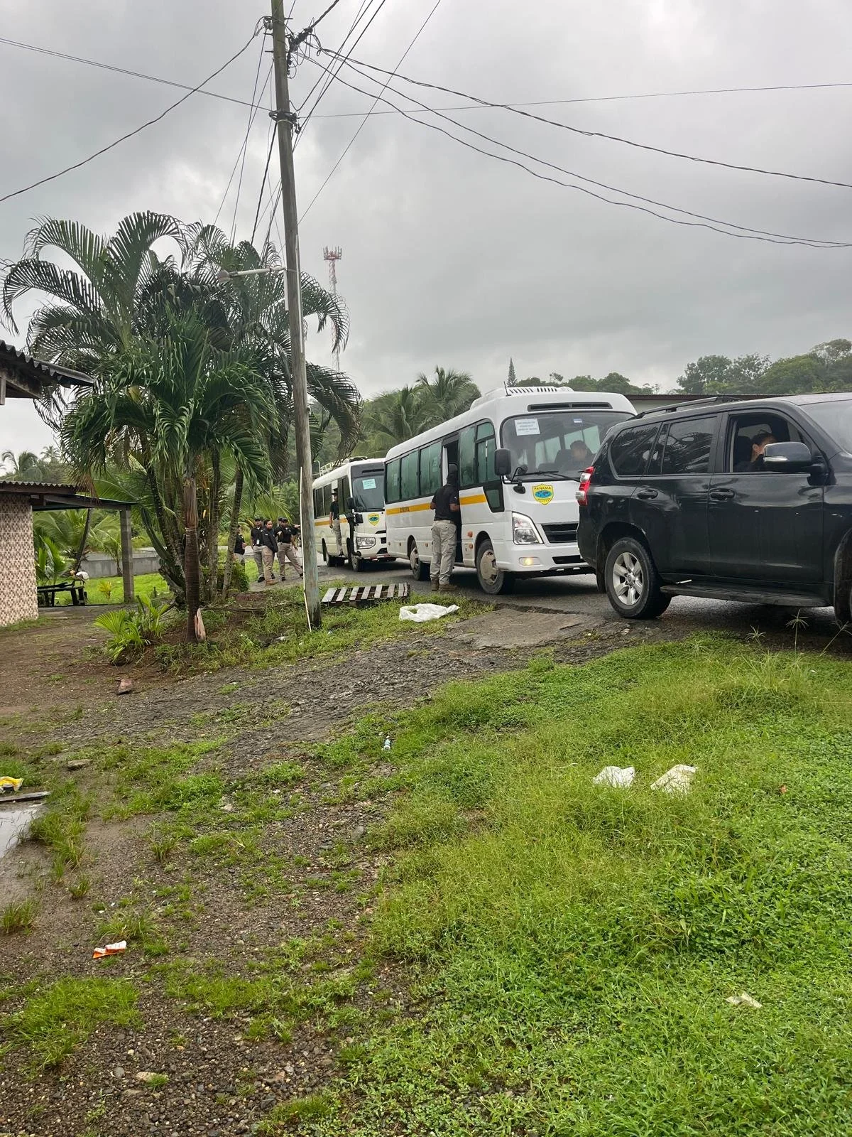 Government Buses