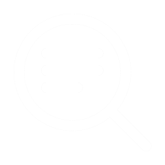 SEO & Search Optimisation