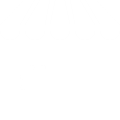 Online Store Setup