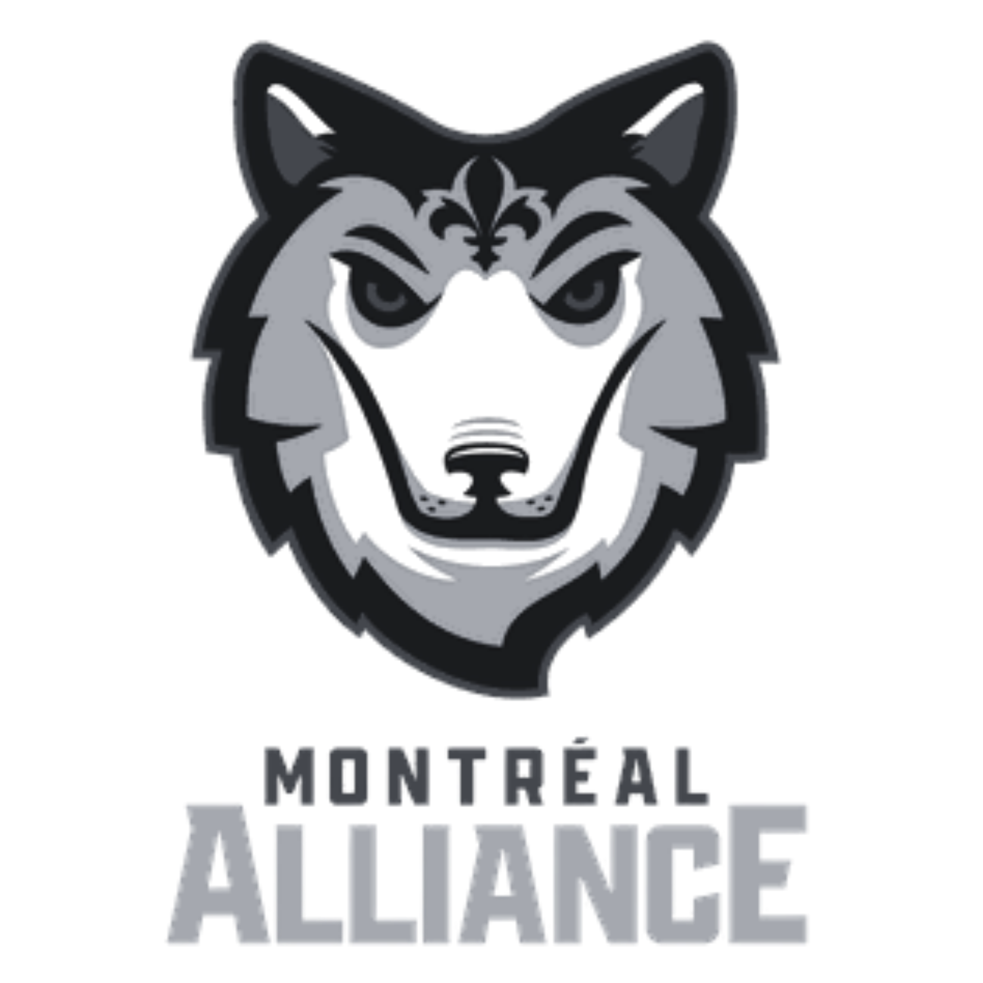 Montréal Alliance