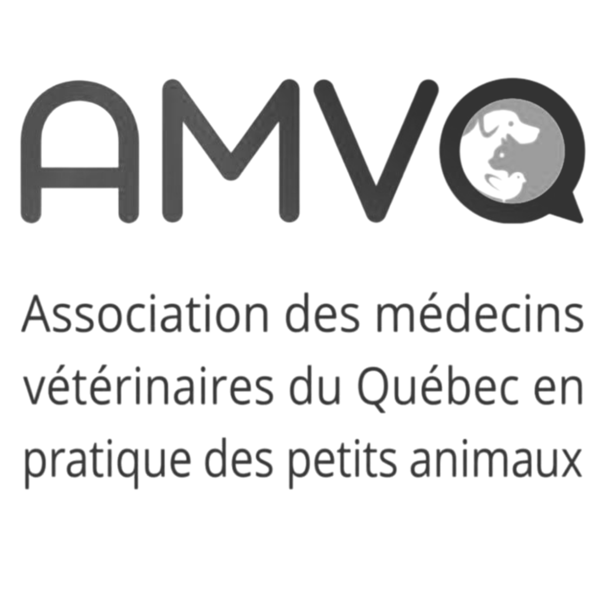 AMVQ
