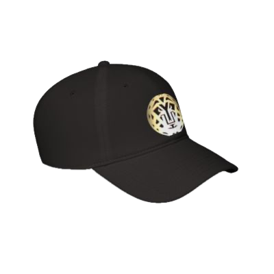 Black baseball cap with white and yellow logo on front