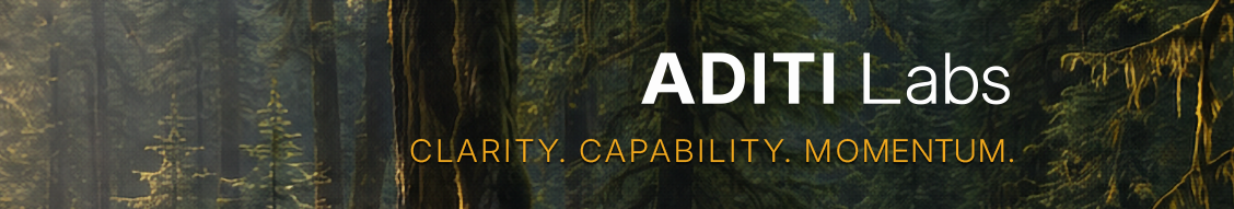 ADITI Labs placement example - LinkedIn banner with lockups