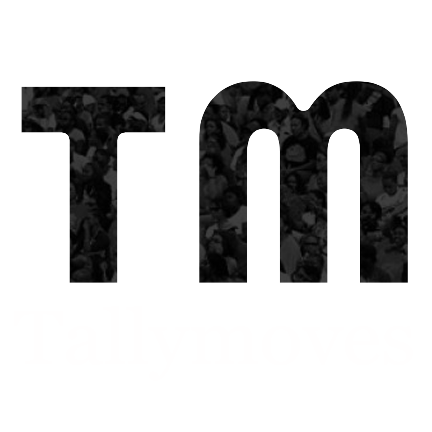 TallyMoves Logo