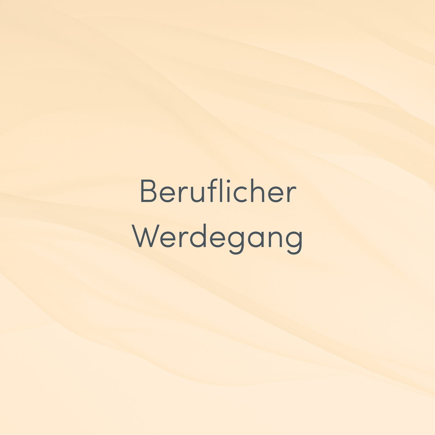 Beruflicher Werdegang