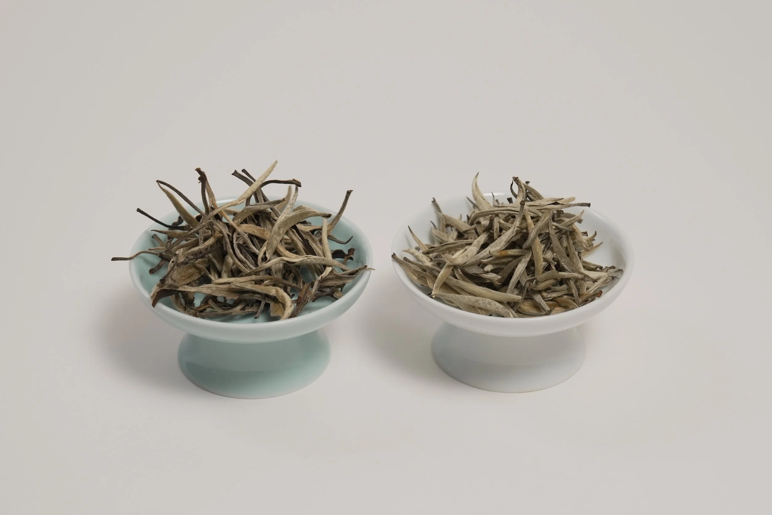 白毫銀針と月光白の芽葉