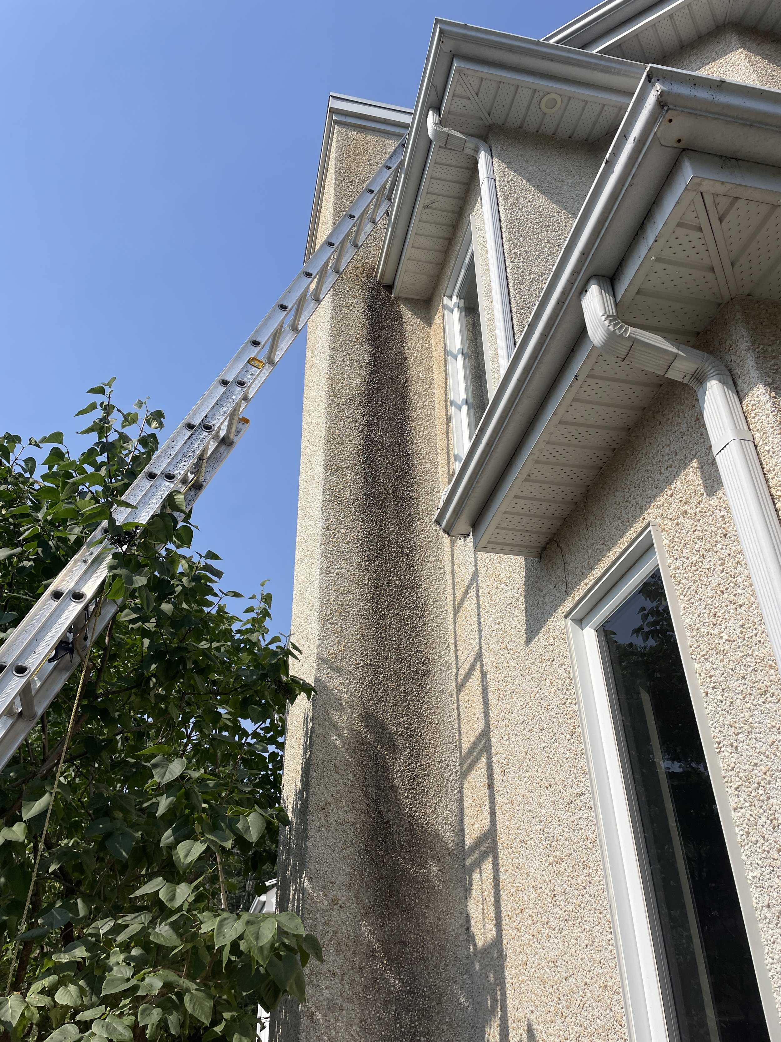 Avant — agrégat noirci