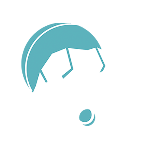 Logo LUOS