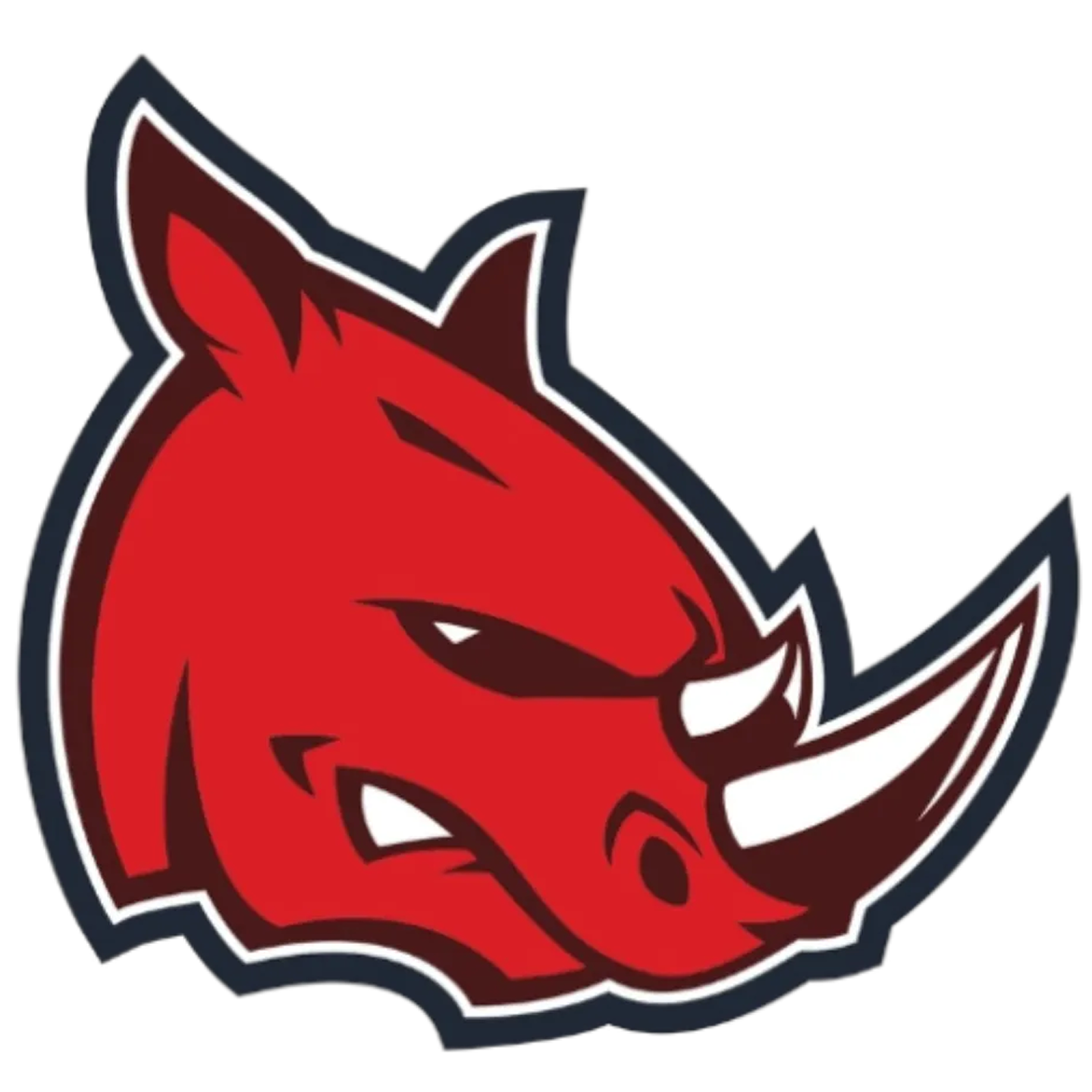 Black Rhinos logo