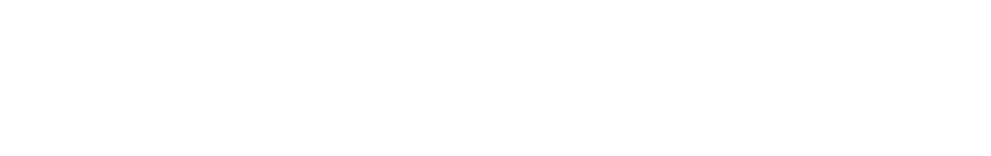 Hogan 360