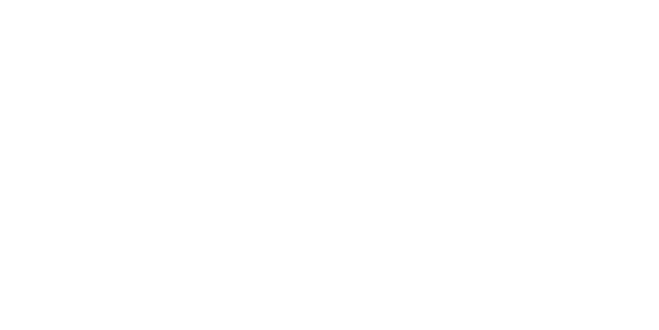 Co-Active Training Institute