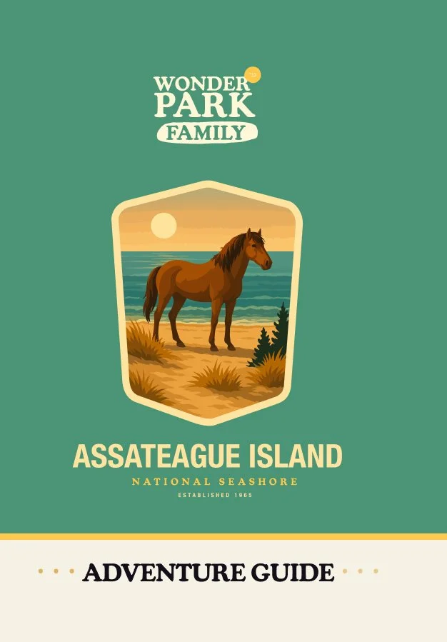Assateague Island