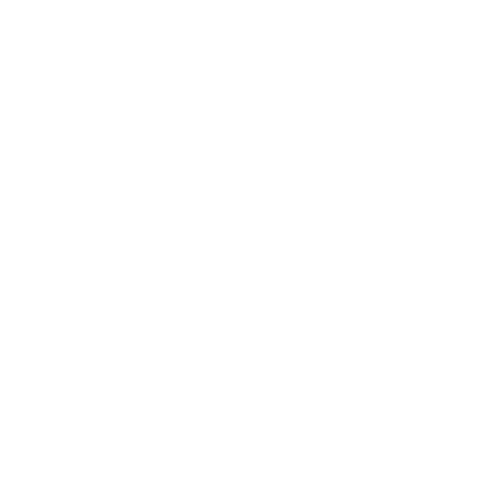 Orion Sirr