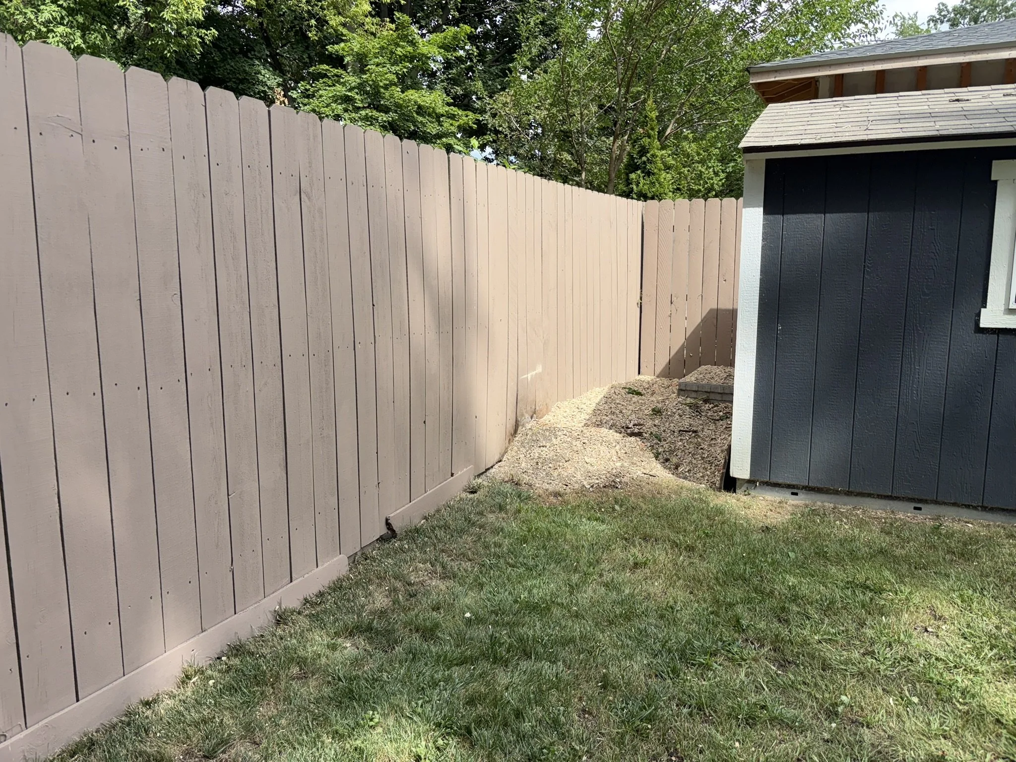 Clean corner behind a shed after stump grinding with wood chips raked and spread along the fence line