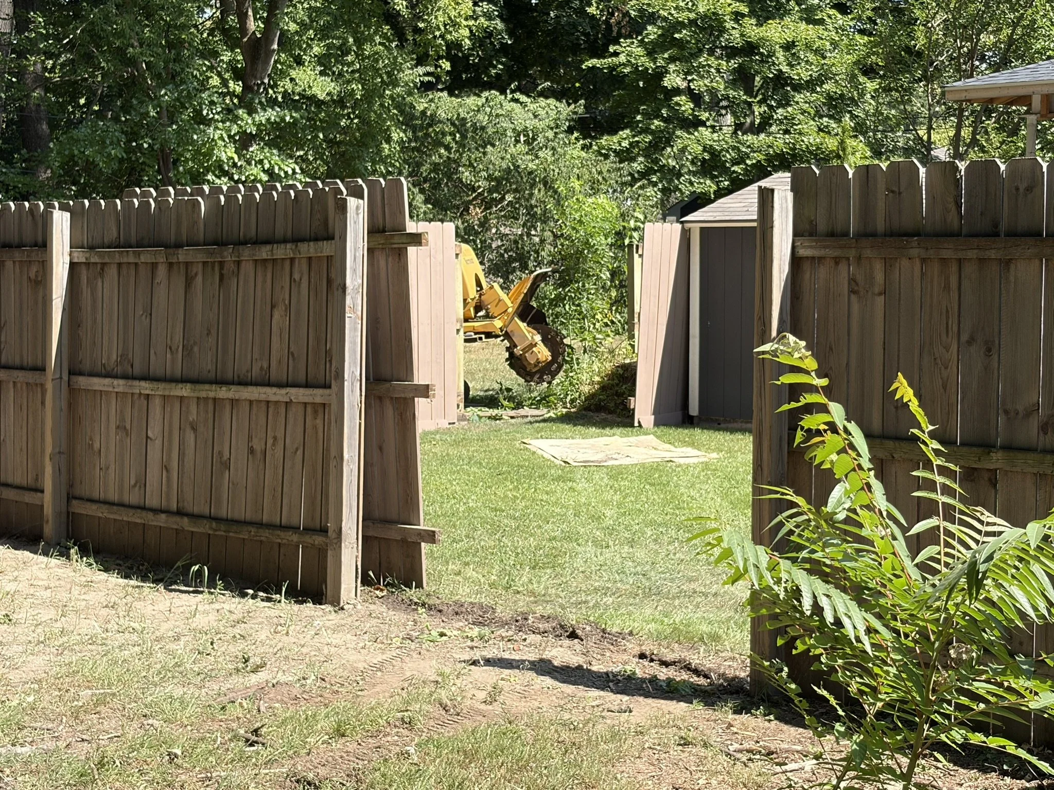 Privacy fence panels removed on two property lines to bring a stump grinder through neighboring yards