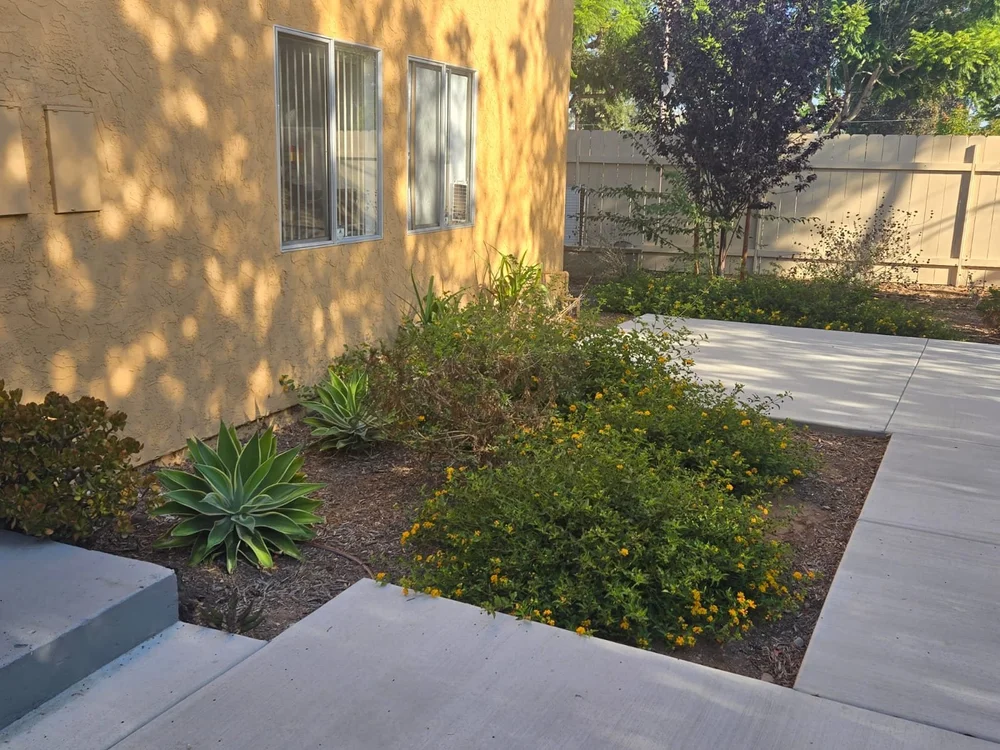 Drought-tolerant planting beds along a courtyard walkway at a multi-family property in San Diego