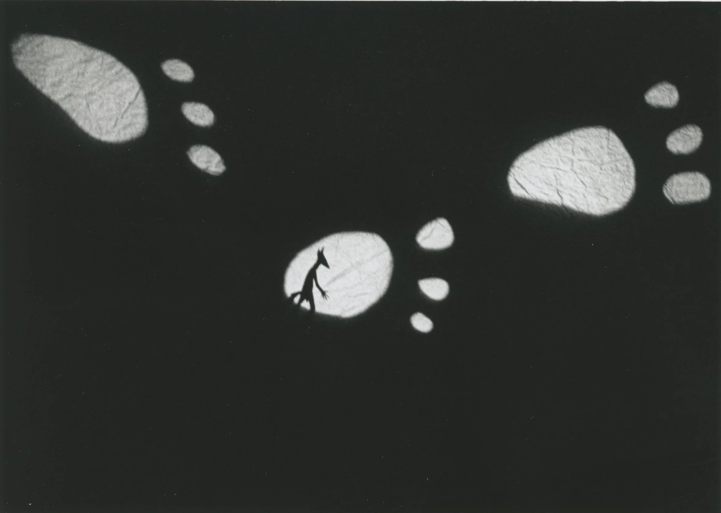 Shadow Theater Performance