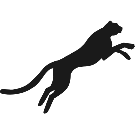 Icone puma