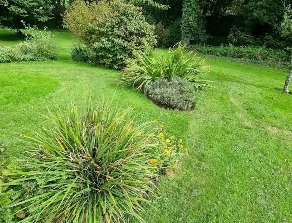 Garden design project in Cornwall