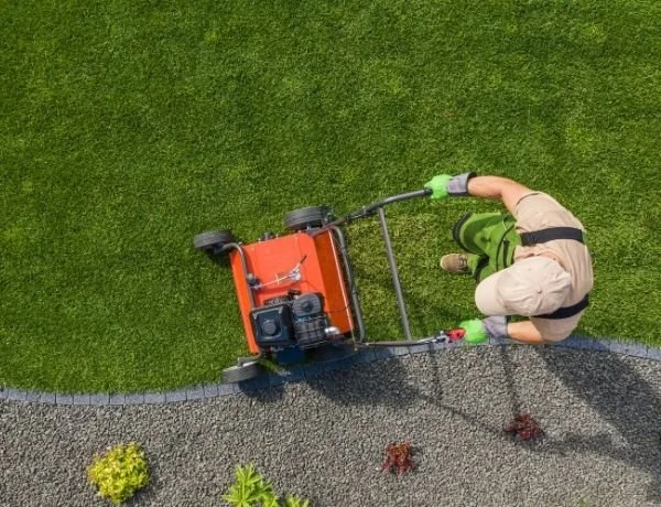 Garden maintenance project by Green Grounds Gardening