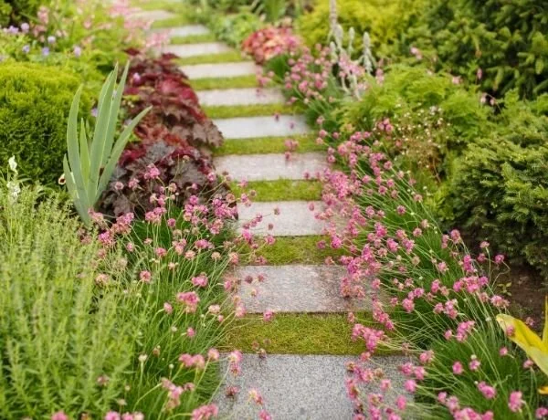 Garden design project near Penryn Cornwall