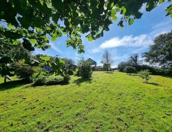 Landscaped garden project in Falmouth Cornwall