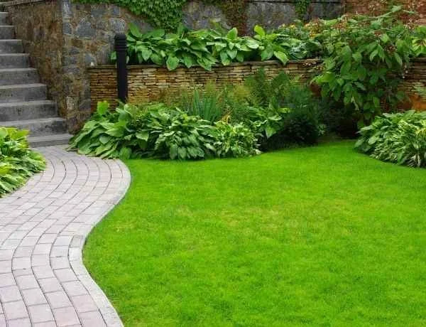 Garden design project by Green Grounds Gardening