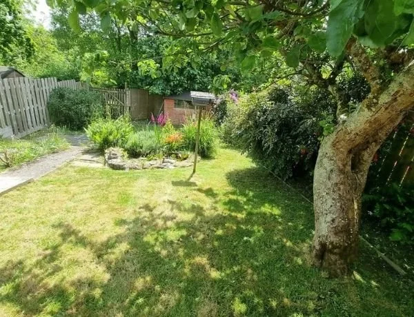 Garden maintenance project in Penryn Cornwall