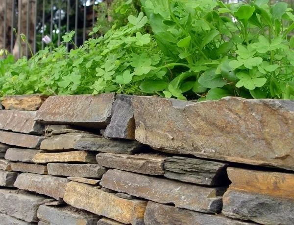 Dry stone walling project near Penryn Cornwall