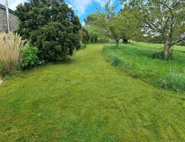 Landscaping project in Penryn Cornwall