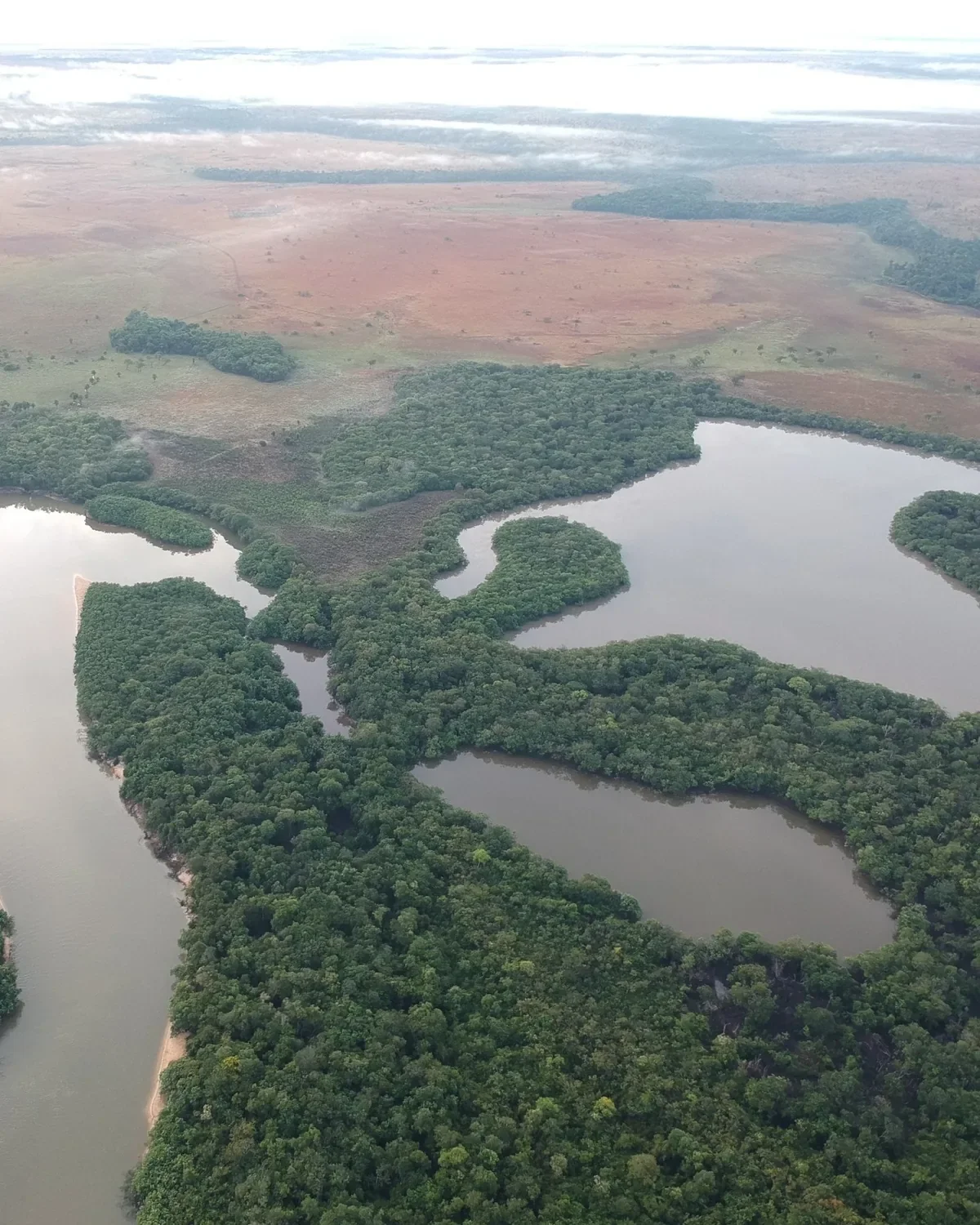 Aerial view of oxbow lagoons and gallery forest beside a river in Colombia's eastern Llanos, with savanna and morning haze beyond