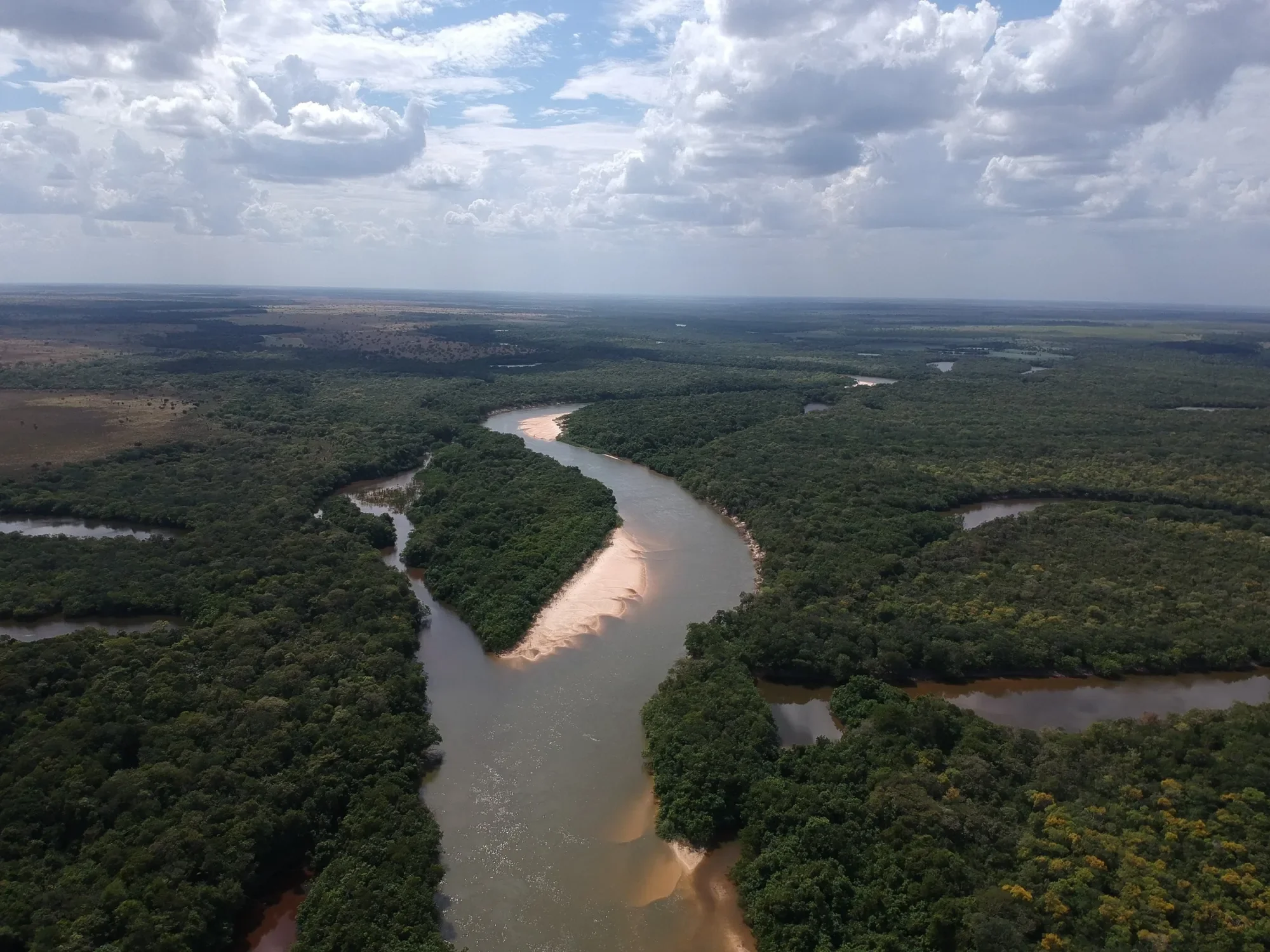 Aerial view of a meandering river with pale sandbars, gallery forest and open savanna under a cloudy sky in the eastern Llanos