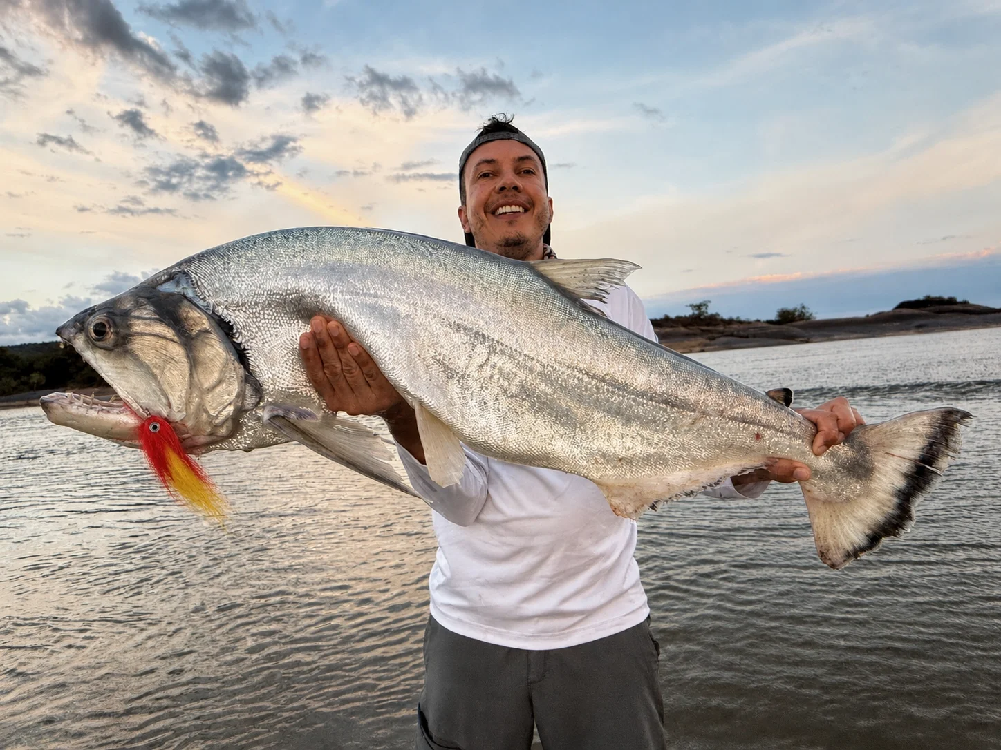 Payara caught on MF Big Hammer Baitfish fly in fast Orinoco River current