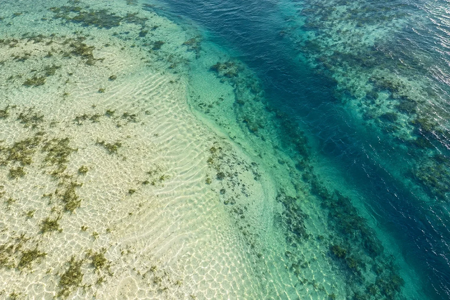 Aerial view of a pale sand flat with scattered seagrass dropping off into a darker blue-green channel.