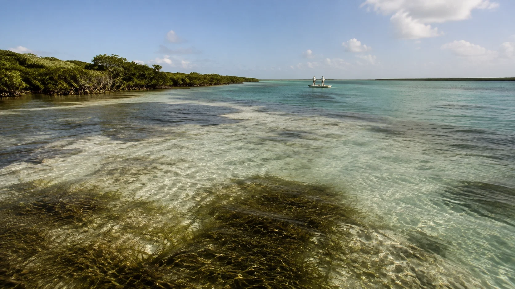 Yucatan and Belize tropical fly fishing flats with turtle grass, sand and mangrove transitions