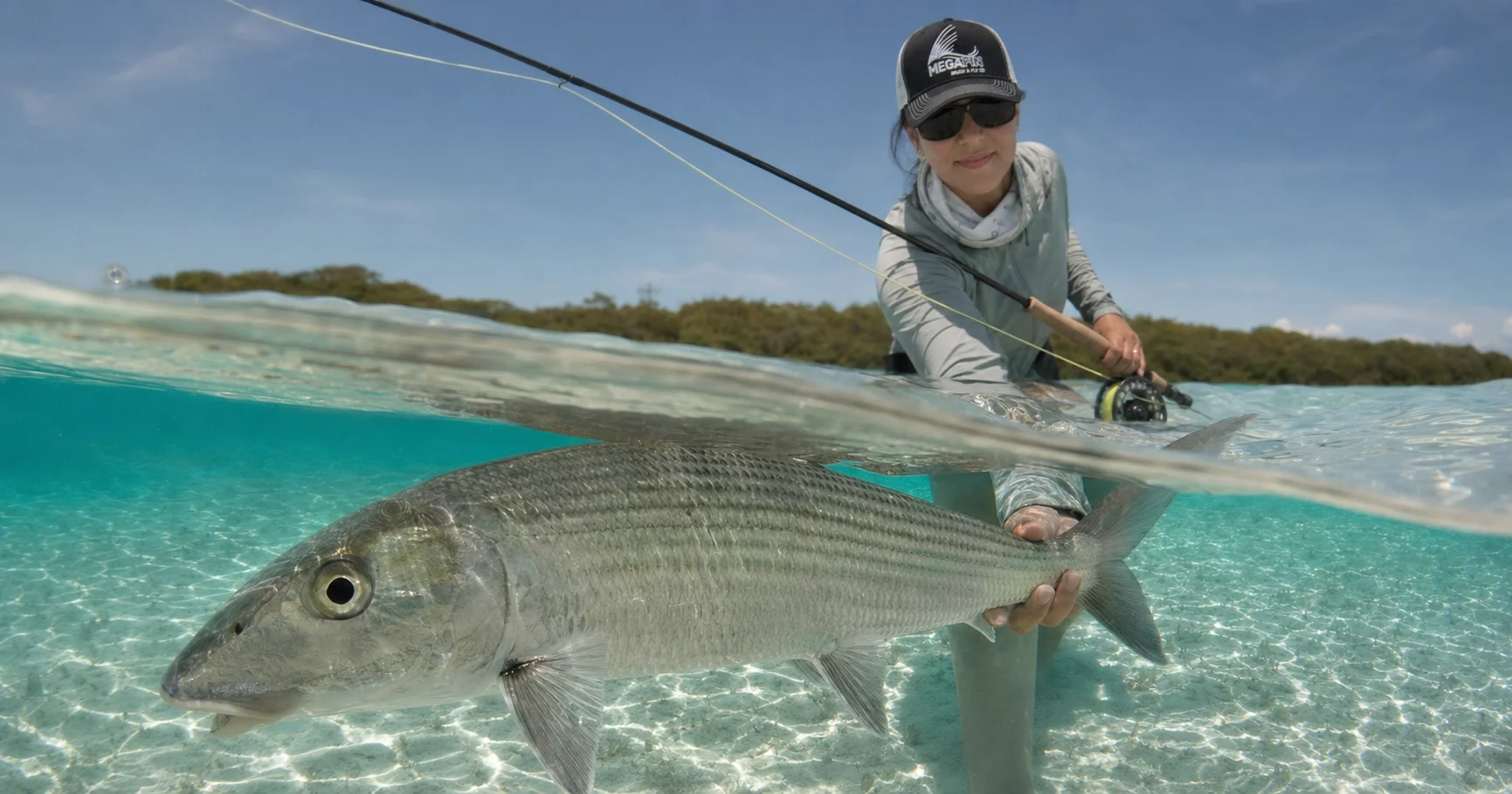 Fly angler on a clear tropical flat releasing a bonefish &mdash; fish facing into the current, hands just below the surface.