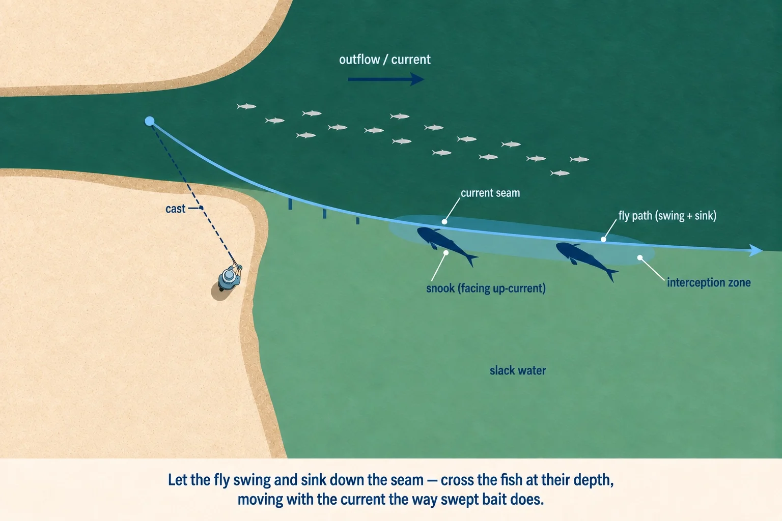 Top-down diagram: swinging and sinking the fly down an inlet current seam to cross snook holding at depth facing up-current