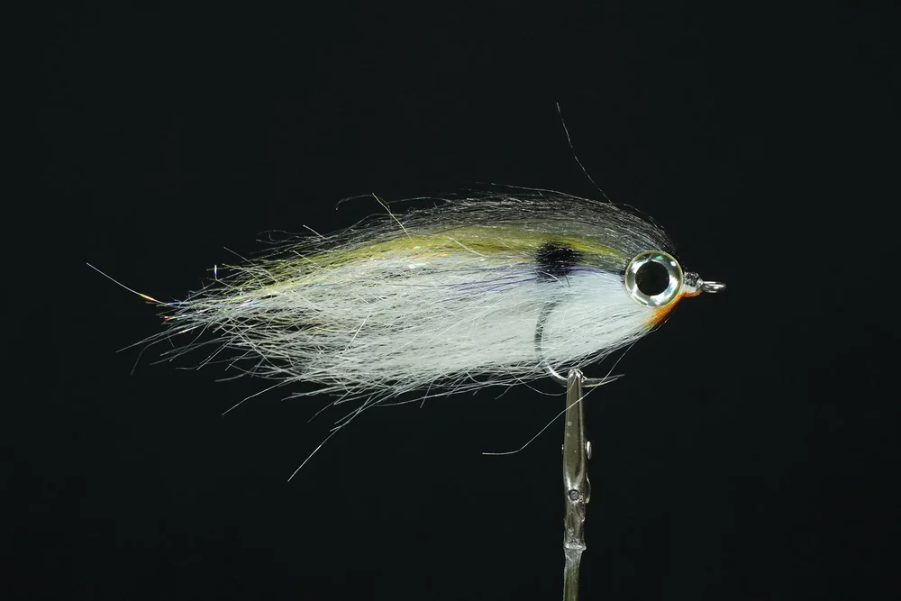 Megafin Mini Hammer Baitfish fly in the Shad color, held in a fly-tying vise against a black background