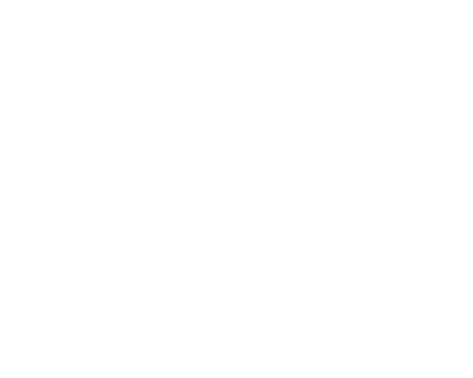 Megafin