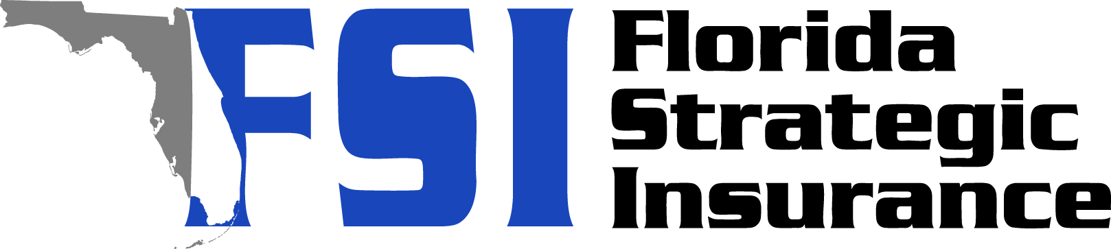 fsi logo