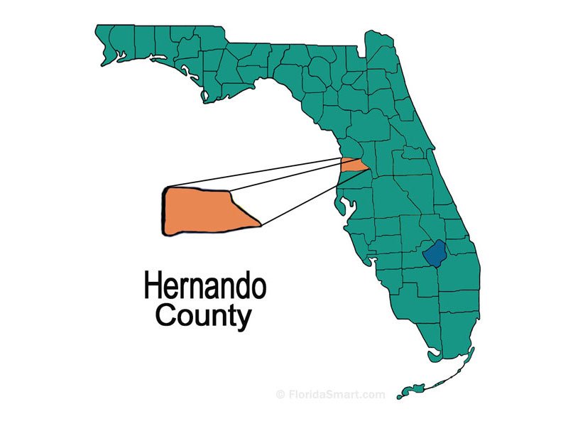 Orange Hernando County silhouette popping out from Florida silhouette.