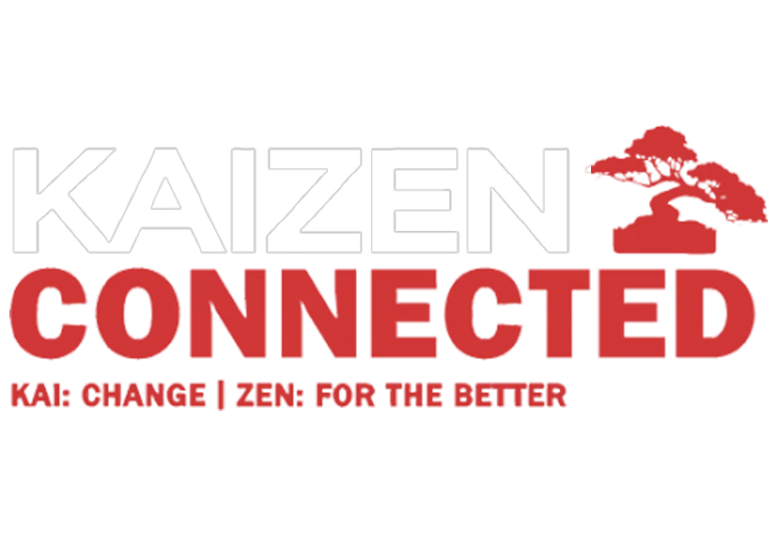 The Kaizen