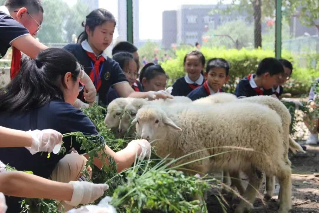 Discovering animal life · 动物观察