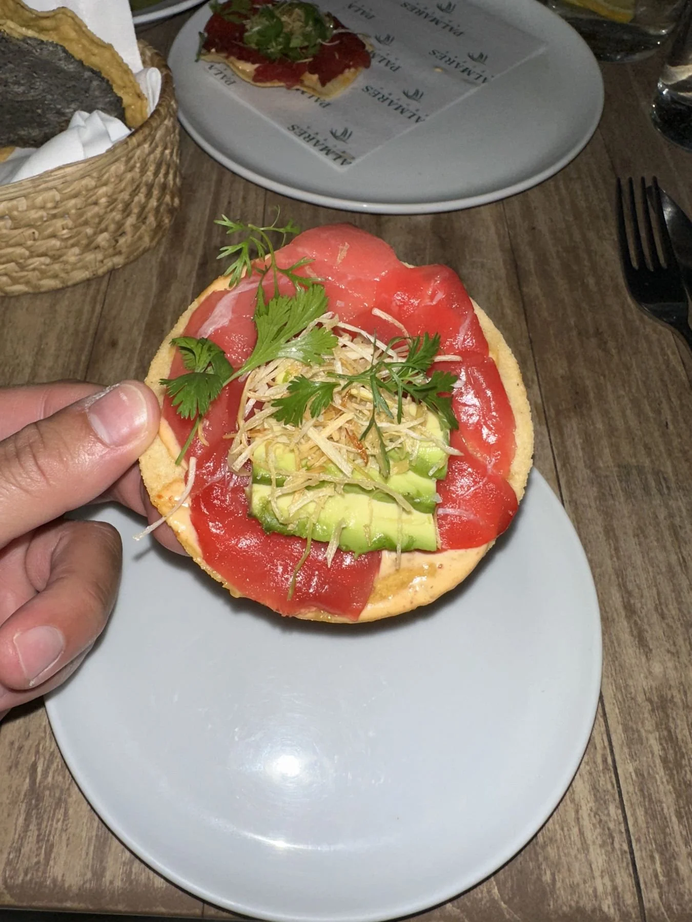 Mexico City travel – tuna tostada
