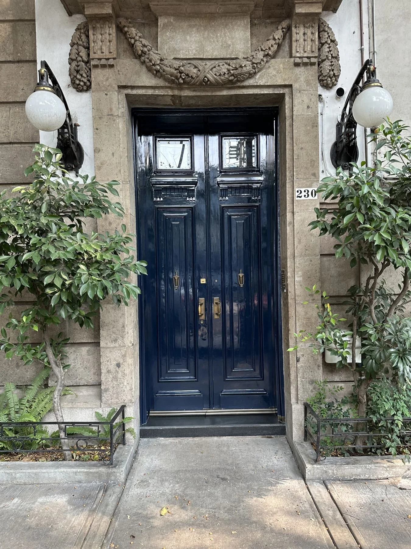 Mexico City travel – navy double door