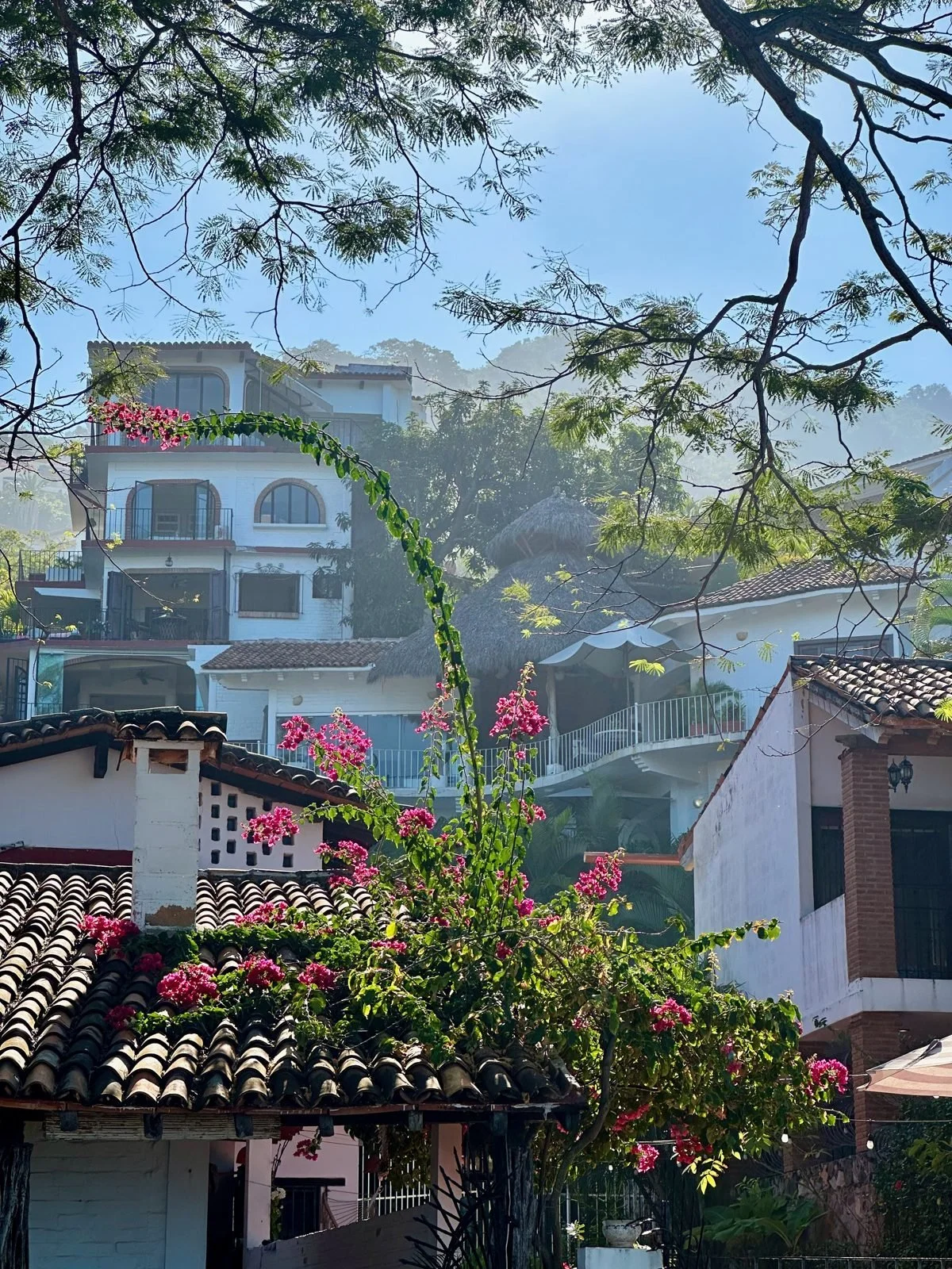 Puerto Vallarta neighborhood homes with bougainvillea