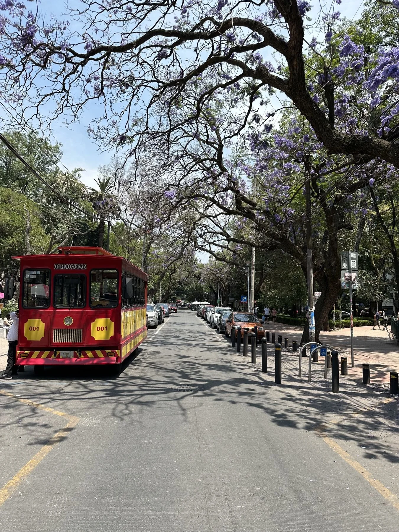 Mexico City travel – red trolley under the jacarandas