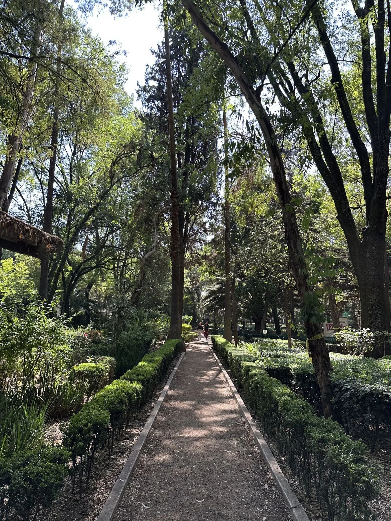 Mexico City travel – garden path in Parque México